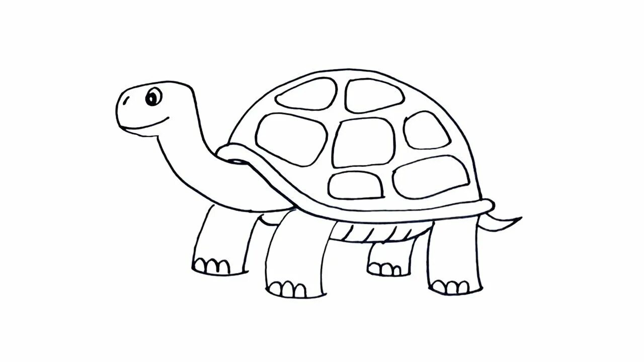 Черепашка рисунок. Черепаха рисунок для детей карандашом. Раскраска черепашка. Черепаха рисунок легко. Черепаха рисунок.
