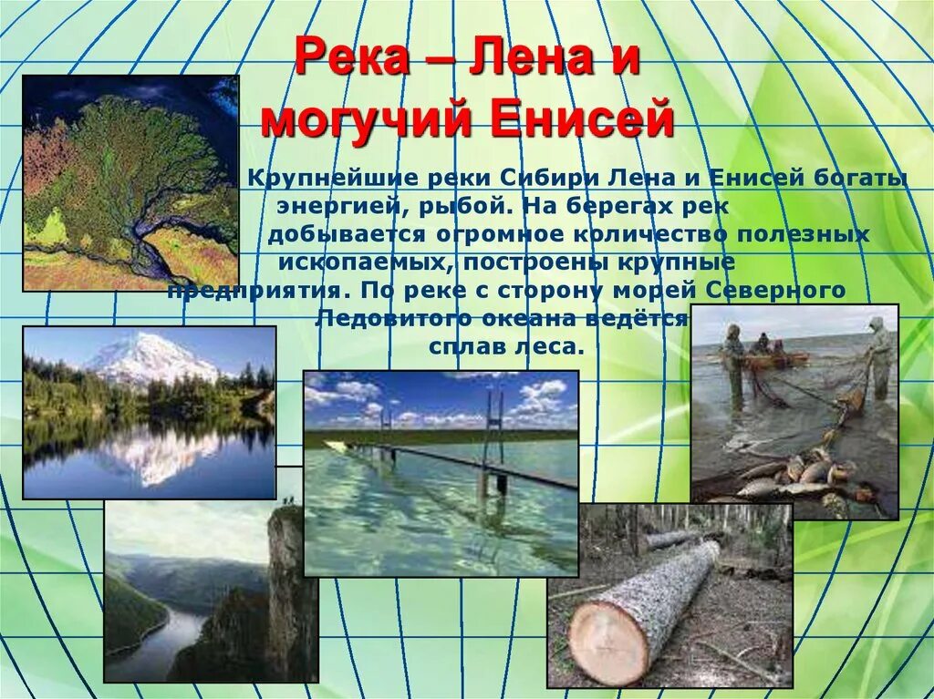 Преобладающий тип питания реки лена. Крупнейшие города на берегах реки лена. могучая река енисей. растения реки лена. крупные города на реке лена.