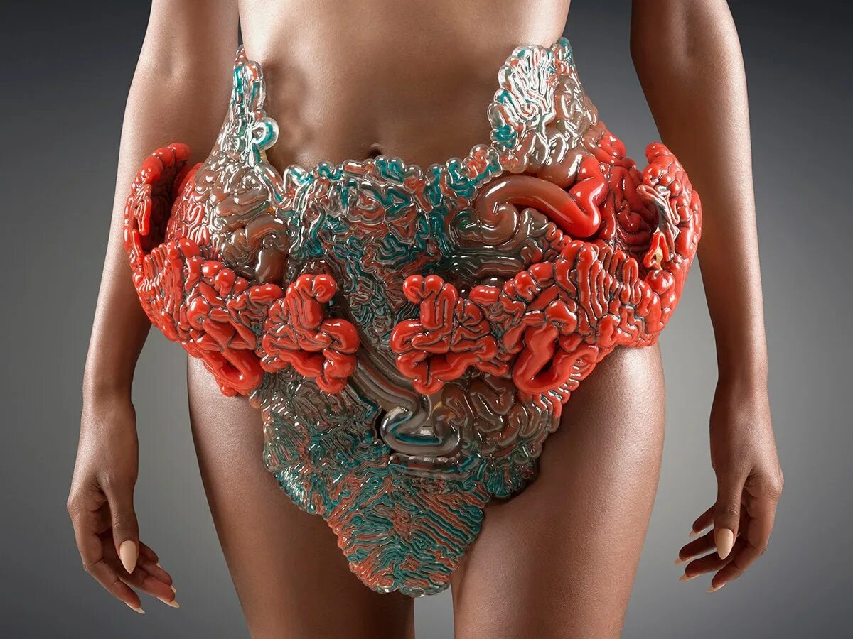 Комбинезон roxy illusion женский. Фин флер свиер мужской. Одежда будущего. Био одежда. Bio connection куртки.