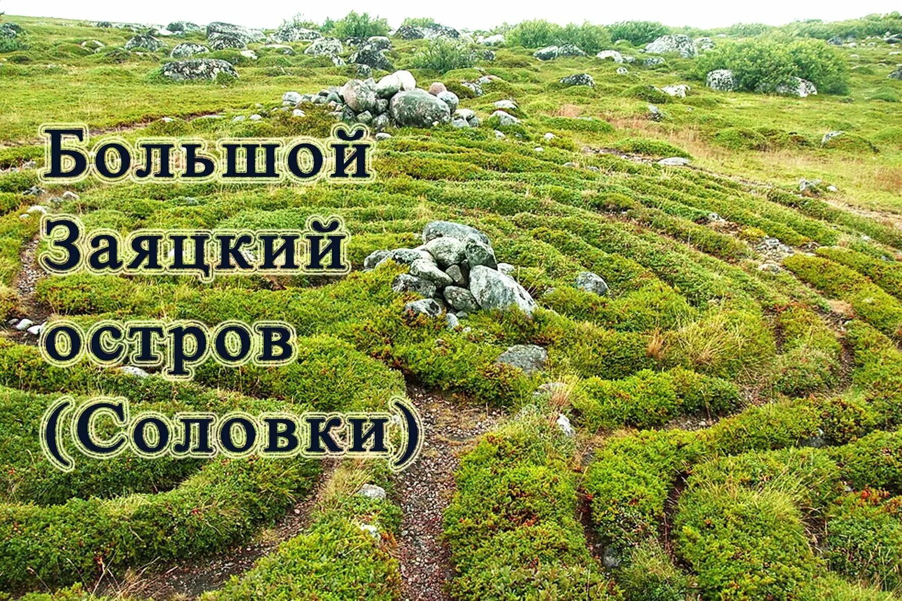 Сила мечты. Рутьюб место силы. Капище переславль залесский. Рутьюб место силы. Языческие капища в карелии.
