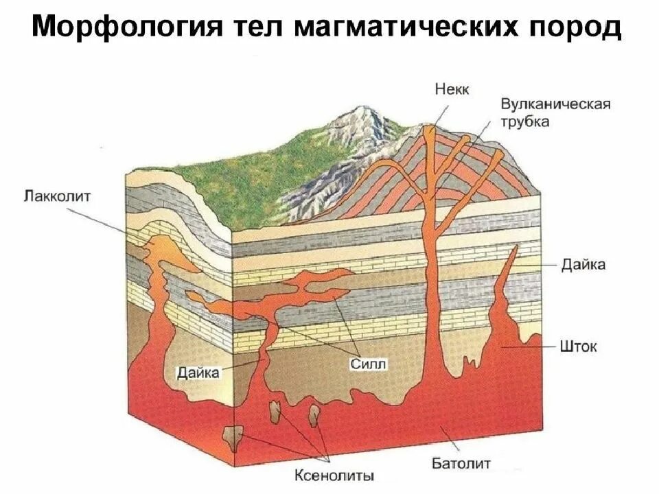 Морфология земли