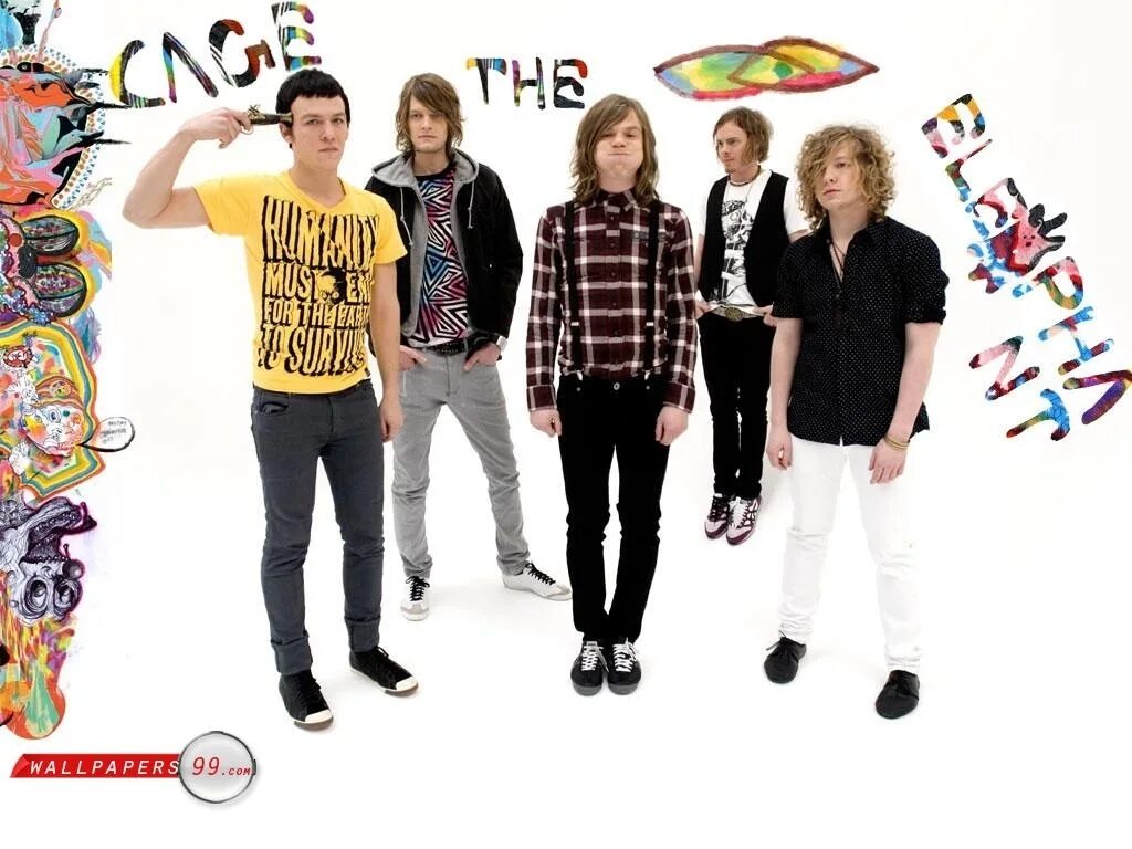 Cage the elephant перевод. Cage the Elephant. Группа Cage the Elephant. Cage the Elephant солист. Cage the Elephant обои.