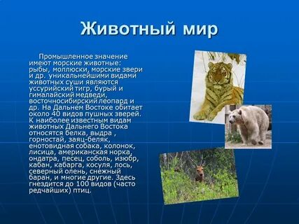 Описать географию животных