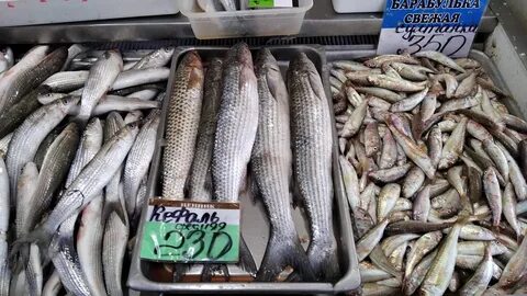 Рыбный месяц