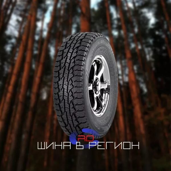 215 70r16 купить. Nokian Outpost at 215/65 r16. Nokian 265 70 16 АТ. Шины Nokian АТ 215 65 16. 265 70 R16 Нокиан.