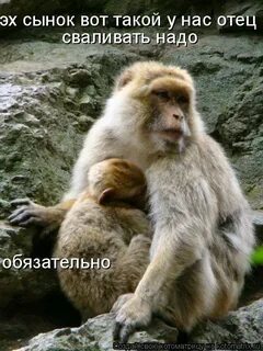 А кто же не боится