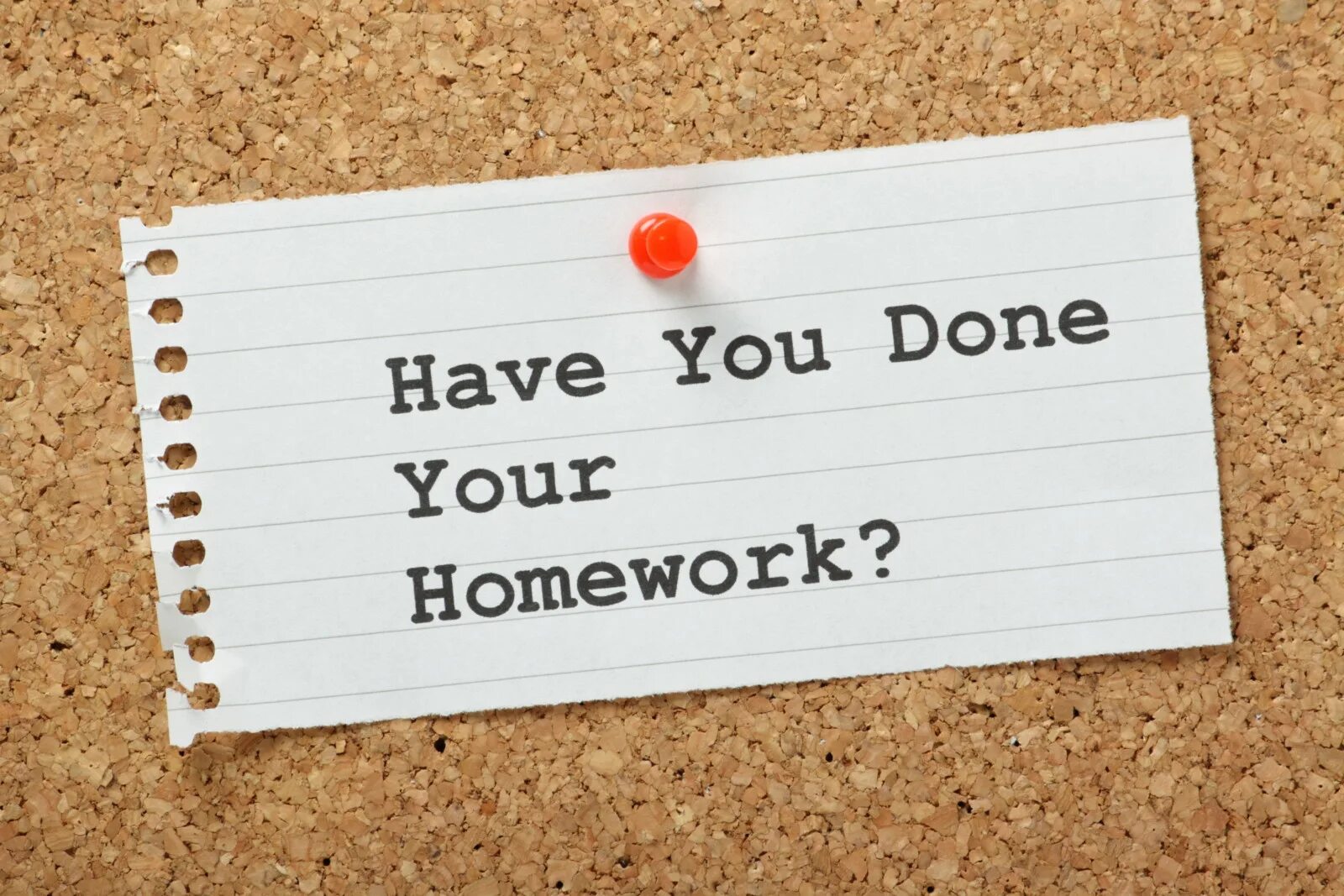 After you have done your. Have you done. Homework. Your homework. You do your homework.