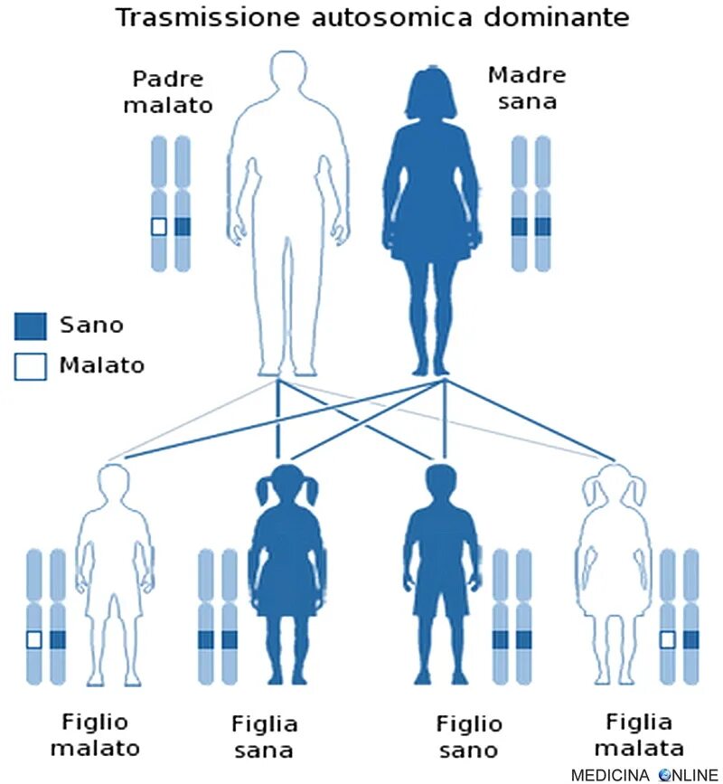 Схема аутосомно доминантного наследования. Синдром Марфана схема наследования. Аутосомно-доминантный Тип наследования болезни. Генные болезни аутосомно-доминантного типа. Болезни по наследству от матери