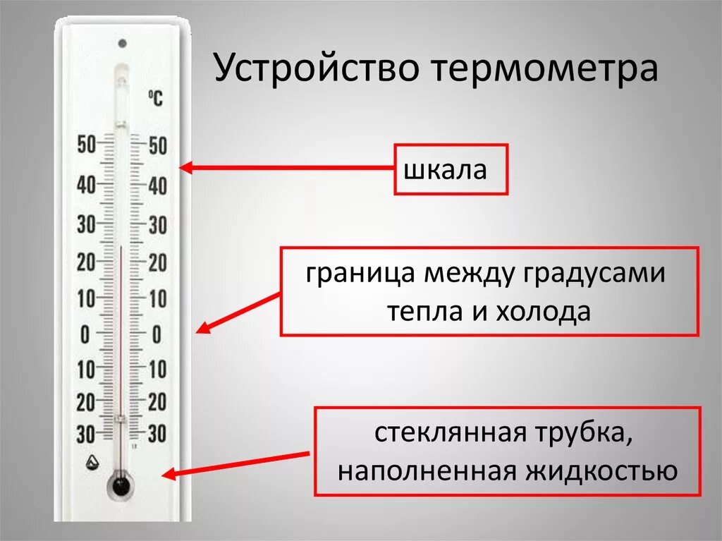 Комнатной температуре в течении. Ртутный градусник шкала измерения. Устройство термометра. Строение термометра. Термометры шкала измерений.