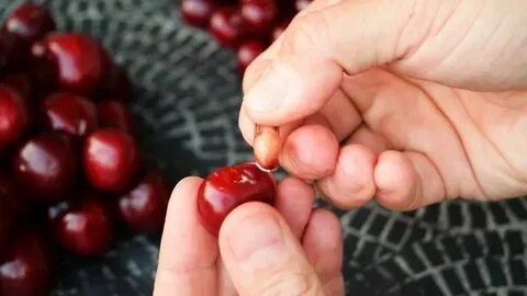 Слушать вишневой косточкой
