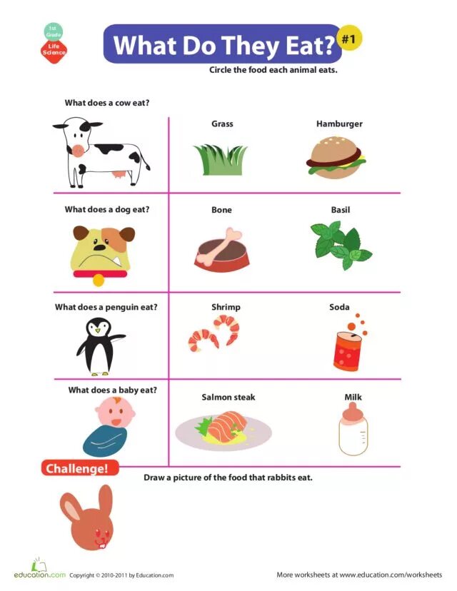 What animals eat for Kids. What do animals eat Worksheets. Animal food на английском. Animals and what they eat.