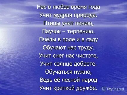 Нас в любое время года учит