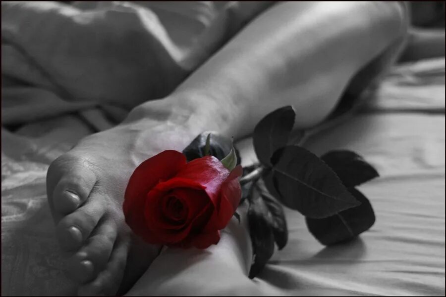 Розы у ног девушки. Красивые женские ноги в туфлях. Красивые женские ноги. Розы у ног девушки. Букет роз с женской ногой.