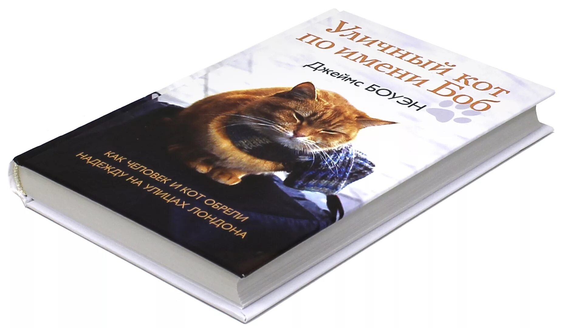 Книга про боба. Книга с котом на обложке. Кот по имени Боб книга. Уличный кот книга.