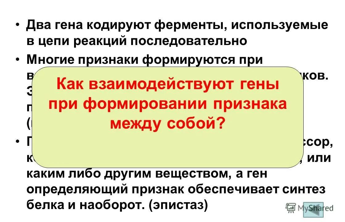 В 1 гене закодирована информация. В 1 гене закодирована информация. В 1 гене закодирована информация. Триплет генетика. Один триплет днк кодирует.