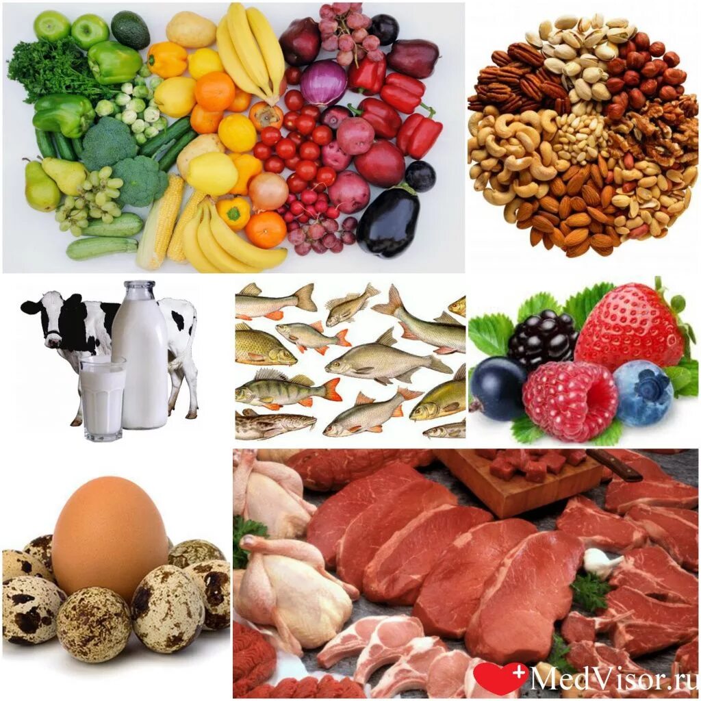 Сальмонеллы в продуктах питания