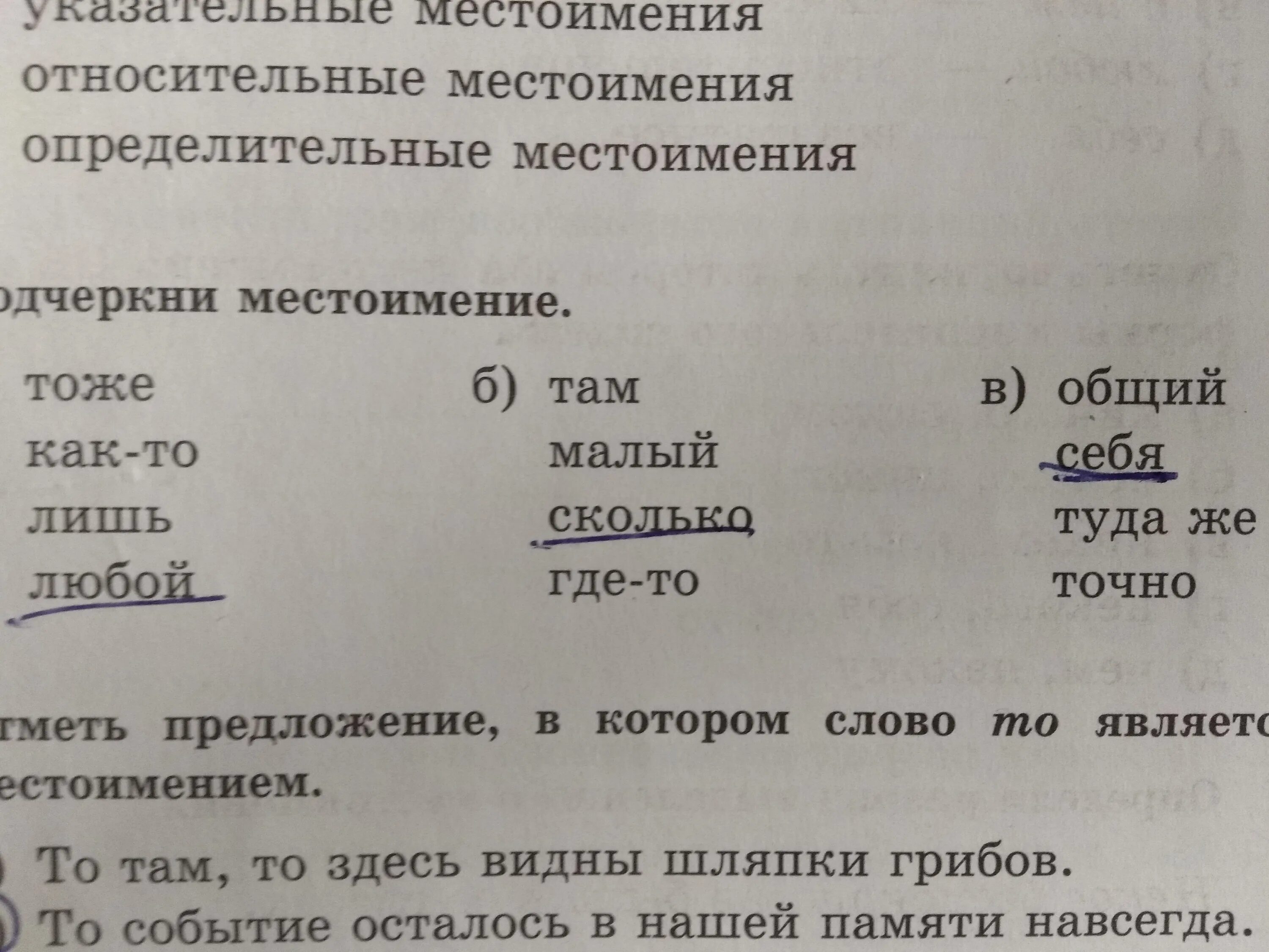 Составить предложение с любым местоимением. Пословицы с местоимениями. Определительные местоимения. 5 Пословиц с местоимениями. Пословицы с местоимениями 4 класс.