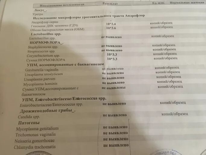 Хламидия трахоматис положительно. Chlamydia trachomatis результат. Chlamydia trachomatis анализ. Chlamydia SPP расшифровка.