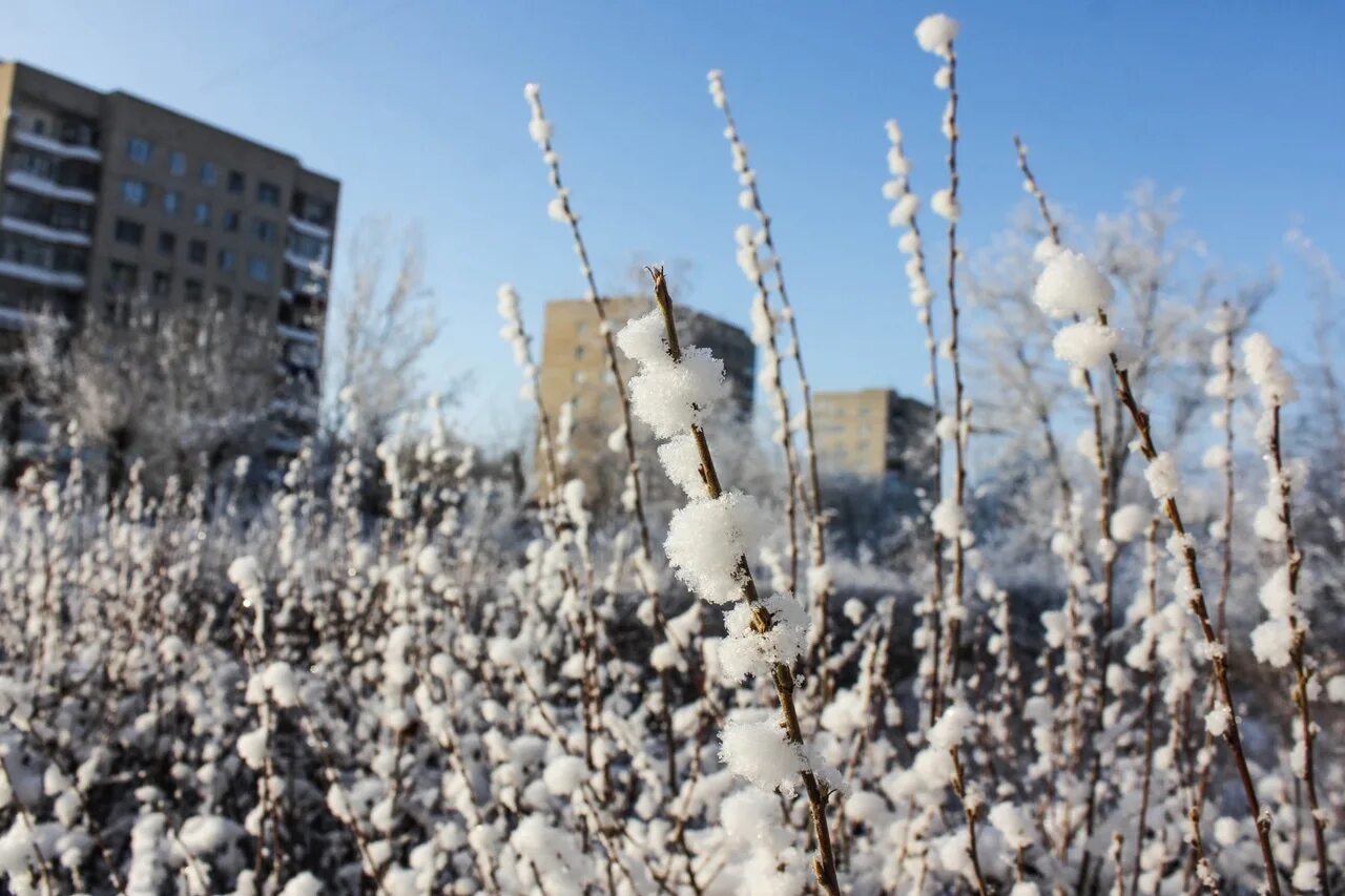 Зима в Подмосковье. Первый снег в городе. Россия зимой. Небольшой снег.