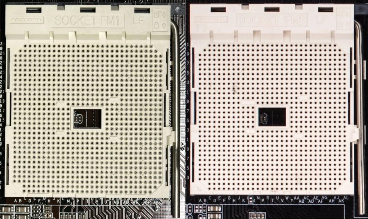 Сокет amd 2. Сокет fm2. Процессор под сокет fm1. AMD сокет am3+ fm2+. Fm2 процессор в fm1 сокет.