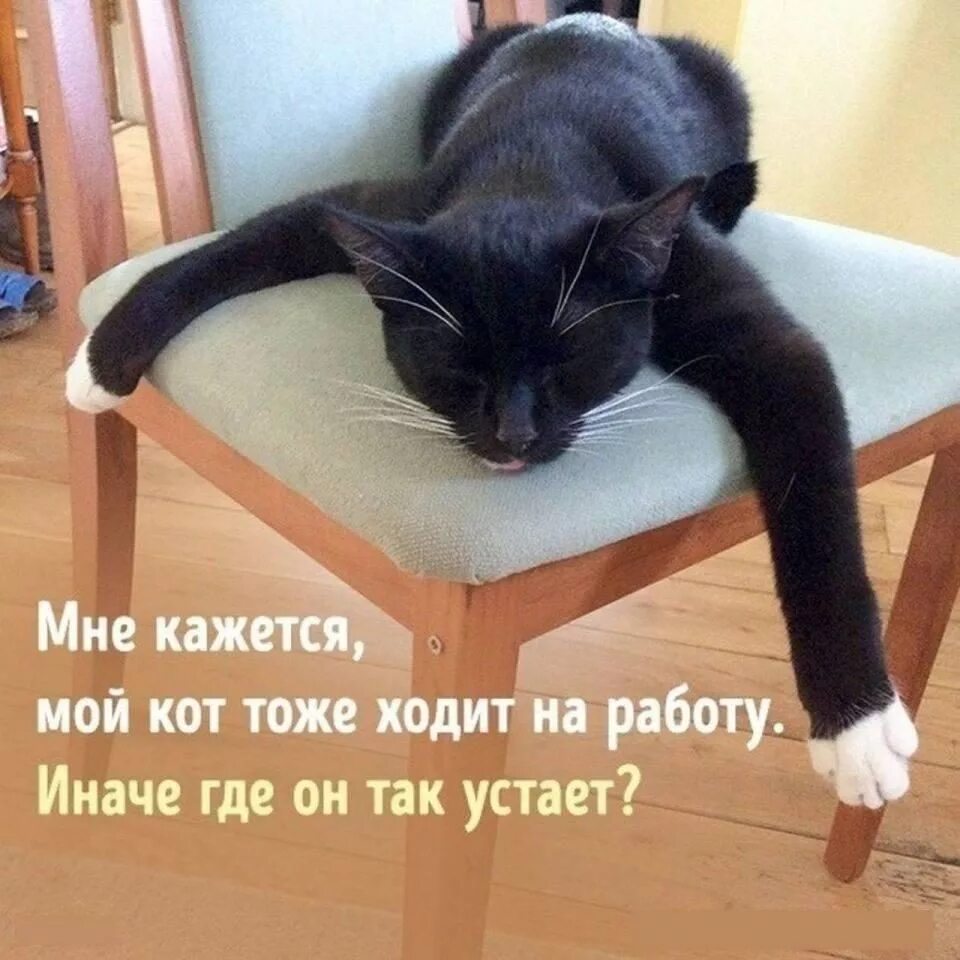 Какого января идти на работу