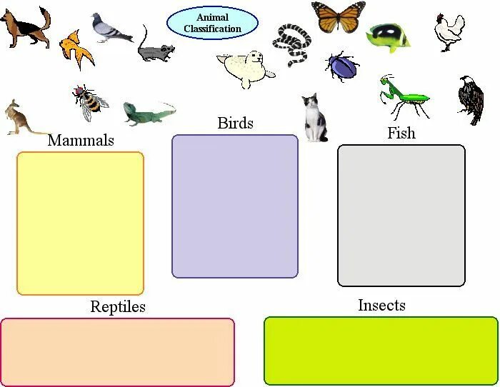 Reptiles mammals. Animals classification Worksheets. Животные птицы насекомые. Types of animals for Kids. Насекомые млекопитающие птицы.