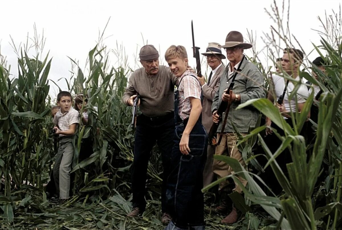 подержанные львы отзывы