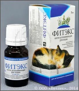 Снотворное для кошек