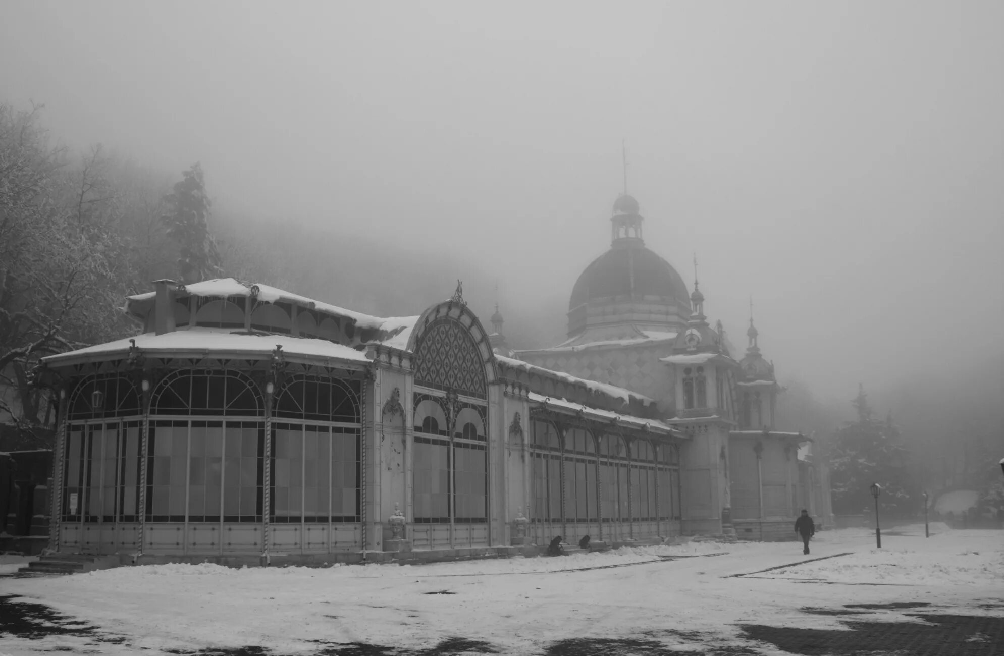 Железноводск февраль. Пушкинская галерея Железноводск. Железноводск зима. Железноводск парк зимой. Железноводск туман.