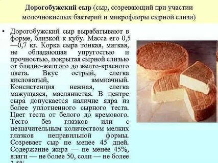 Из чего состоит сыр