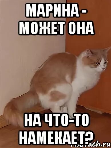 Ты что не понял я тебе намекала
