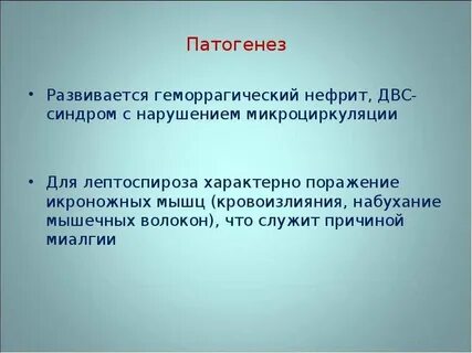 Геморрагический нефрит