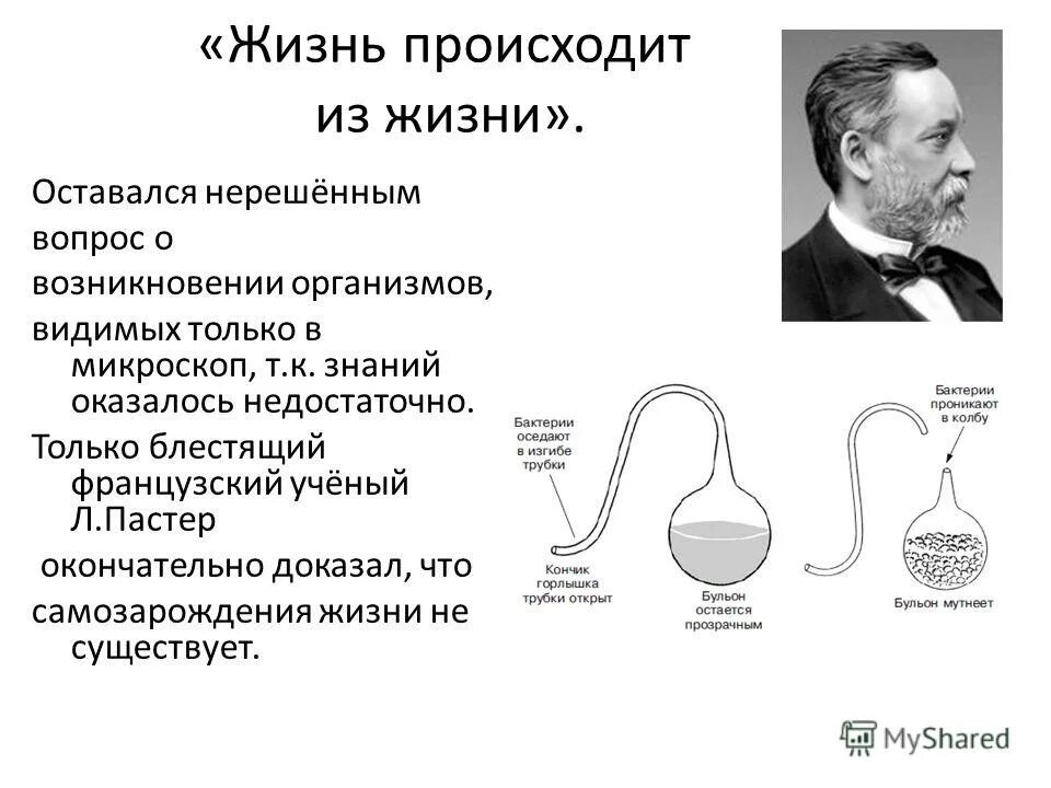 Французский ученый теория. Луи Пастер самозарождение жизни. Гипотеза самозарождения Луи Пастер. Луи Пастер теория. Луи Пастер опроверг теорию самозарождения жизни.