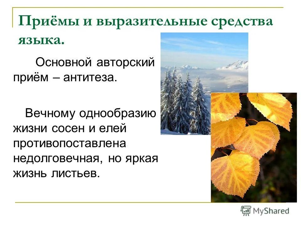 Фёдор иванович тютчев листья. Рассказ тютчева листья. Ф. Ф тютчев стих листья. Стих про первые листочки.