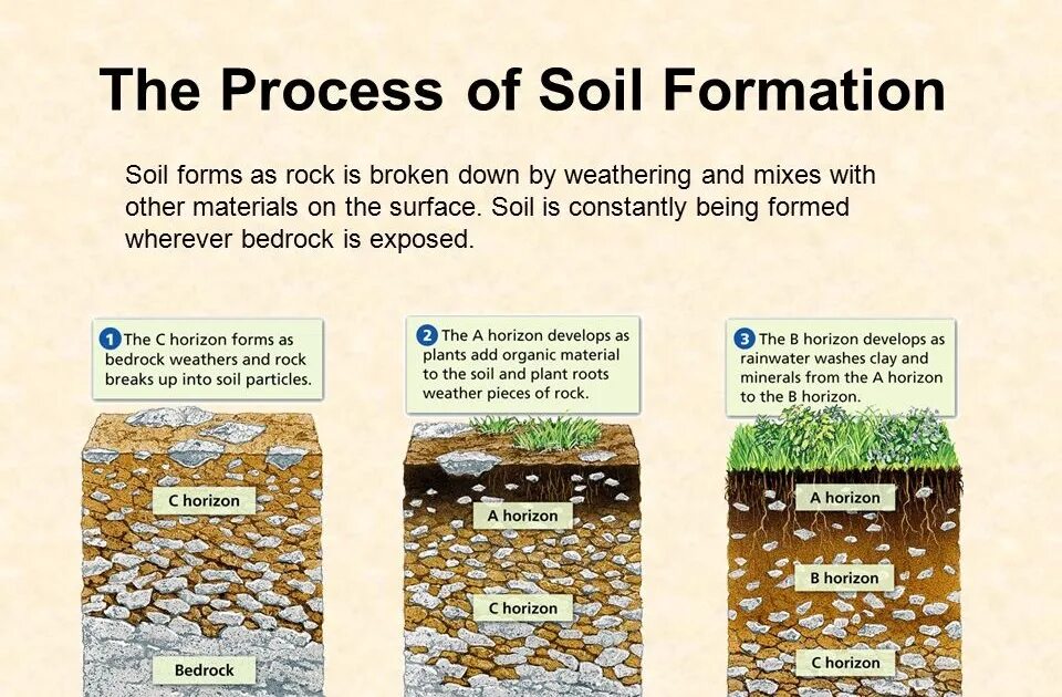 Soil processing. Soil formation. soil water. soil formation processes. soil particle.