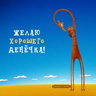 Ждем хорошего дня