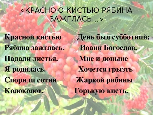 Красной кистью рябина стихотворение