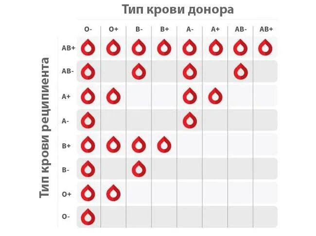 Совместимость групп 2 и 4. Резус-фактор 4 положительная совместимость таблица. совместимость групп крови. таблица донорства крови совместимость. 4 группа крови при переливании.