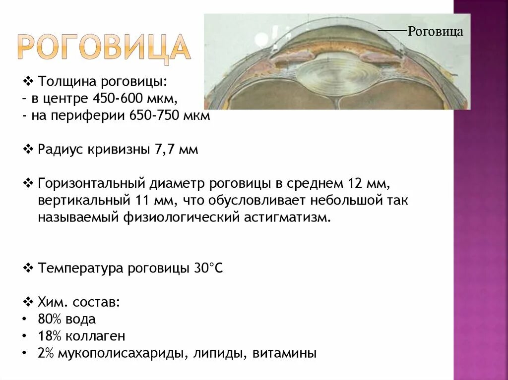 Толщина роговицы 580 мкм. Центральная толщина роговицы норма. Нормальная кривизна роговицы. Роговица характеристика