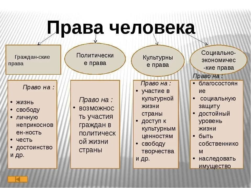 Название группы прав. Виды прав человека.