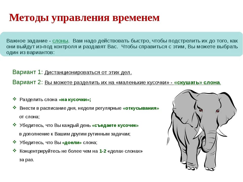 Метод слона в тайм менеджменте. Типы задач в тайм менеджменте. Слоны в тайм менеджменте это. Метод поедания слона в тайм менеджменте. Elephants time