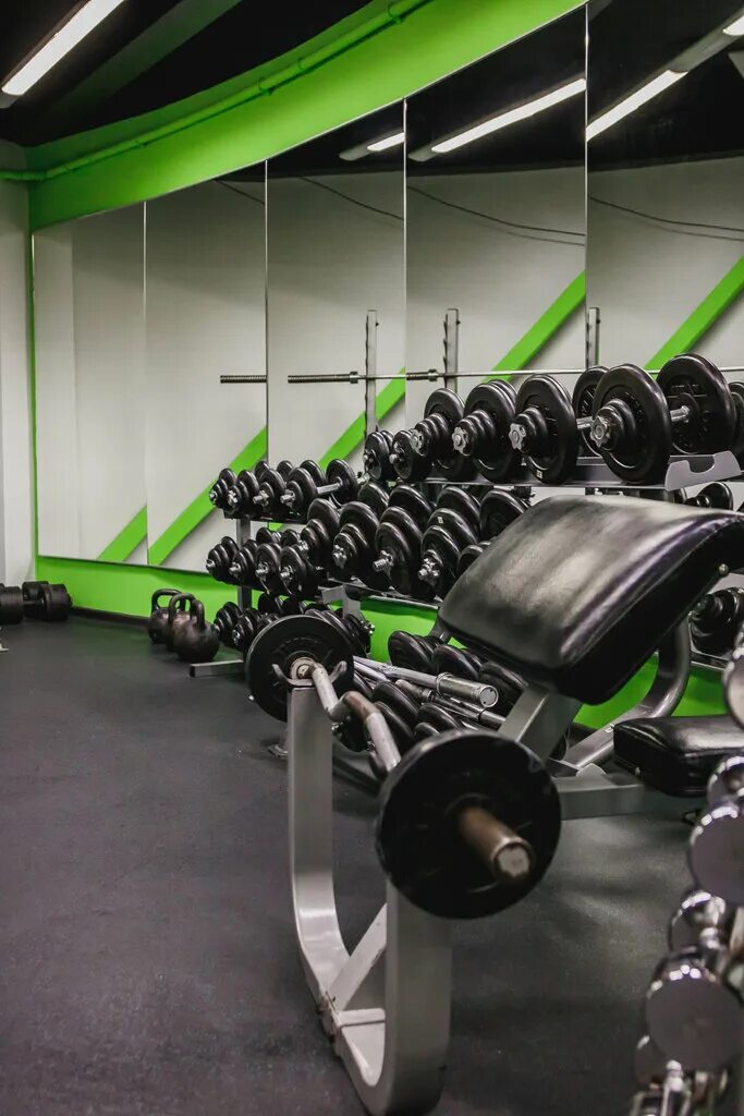 свердловский тренажерный зал. тренажерный зал tiger ургенч. золотой тигр екатеринбург тренажерный зал. свердловский тренажерный зал. сити фитнес липецк.