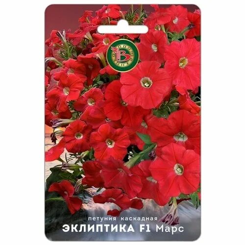 петуния эклиптика f1 меркури каскадная 5шт (биотехника). петуния каскадная эклиптика f1 стардаст. петуния (биотехника) рамблин f1 ну блю. петуния каскадная эклиптика f1 меркури. петуния каскадная эклиптика f1 гэлакси.