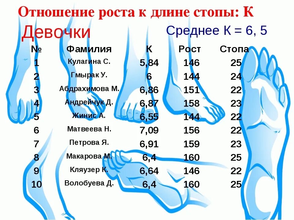 Средняя стопа. Размер стопы. Размер ноги по росту. Соотношение длины стопы и голени. Нормальный размер стопы.