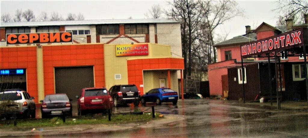 кореана горького. кореана горького. максим горького 11 в туле. кореана гороховая. кореана горького.