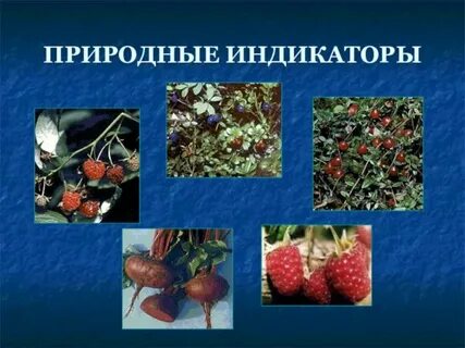 Индикаторы презентация