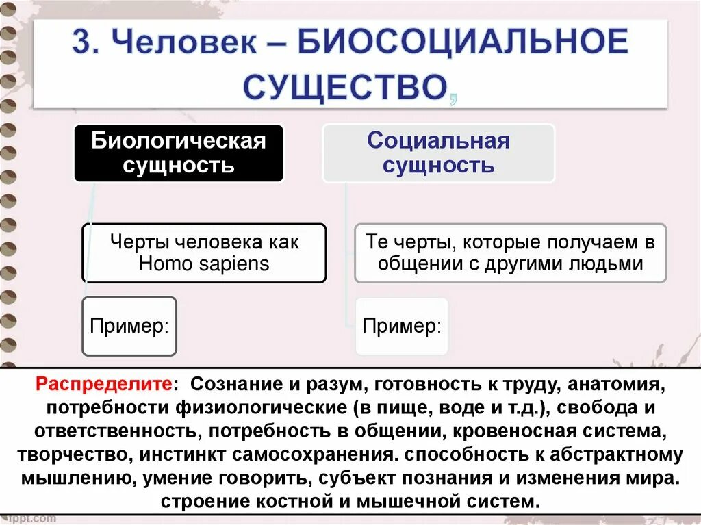 Что означает биосоциальное существо. Человек биосоциальное существо. Биосоциальное в человеке. Человек биосоциальное существо потребности. Человек как биосоциальное существо. Сущность человека.