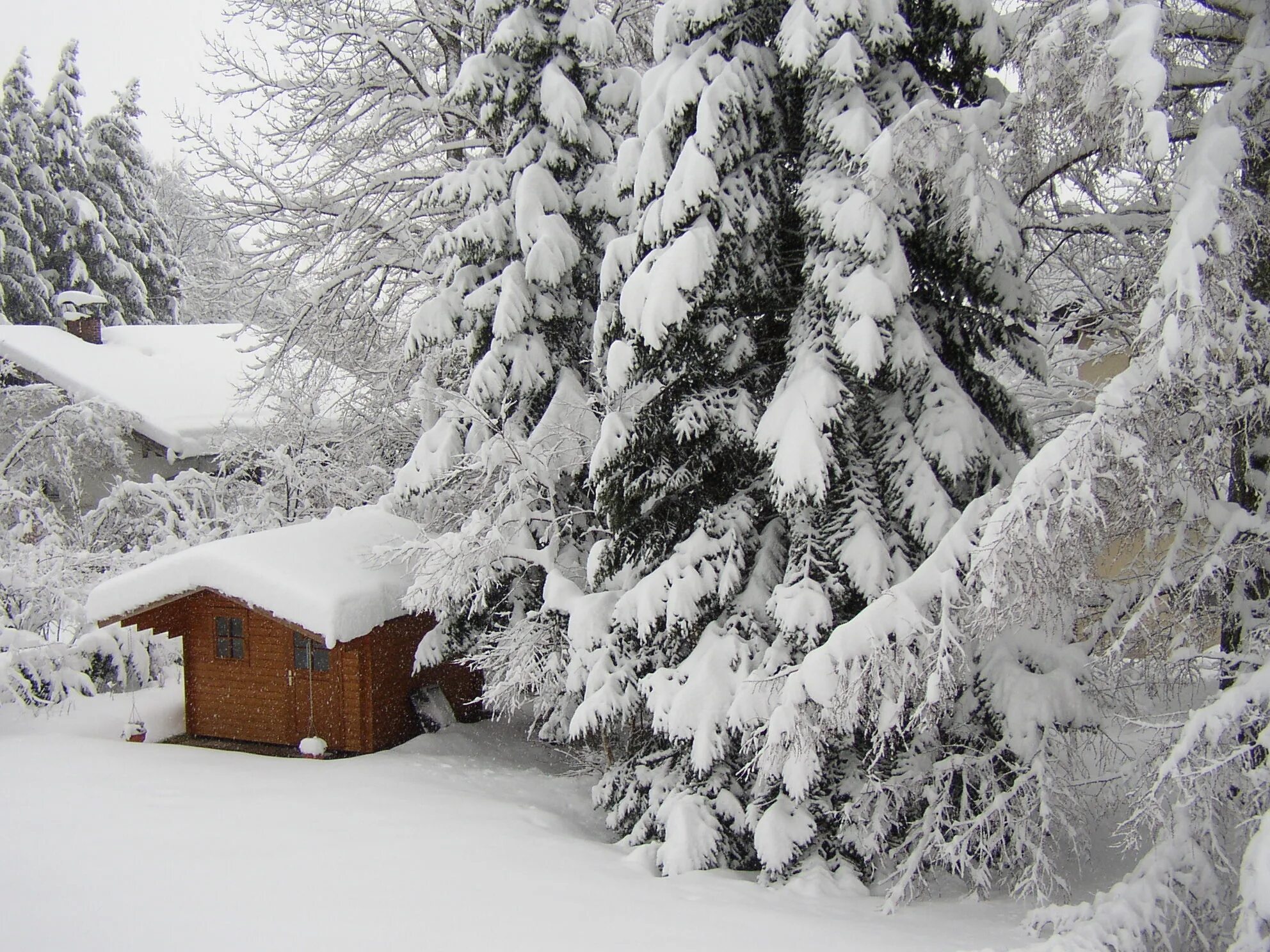 Снежный сад. Сад в снегу. Укрытие в снегу. Зимняя сказка интерьер.
