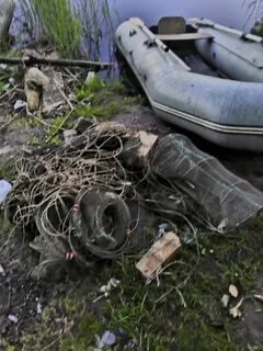 Рак 28 июнь