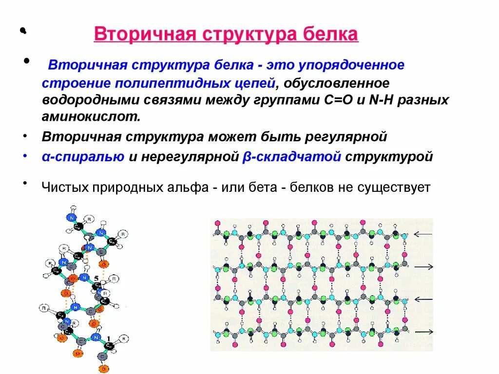 Вторичная структура какие связи. Вторичная структура белков бета структура. Вторичная структура нерегулярная структура. Вторичная структура белка бета. Альфа и бета спираль вторичной структуры белка.